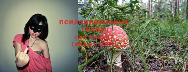 хмурый Тихорецк
