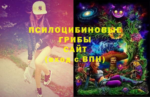 твердый Тобольск