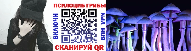 Галлюциногенные грибы Magic Shrooms  Урюпинск 